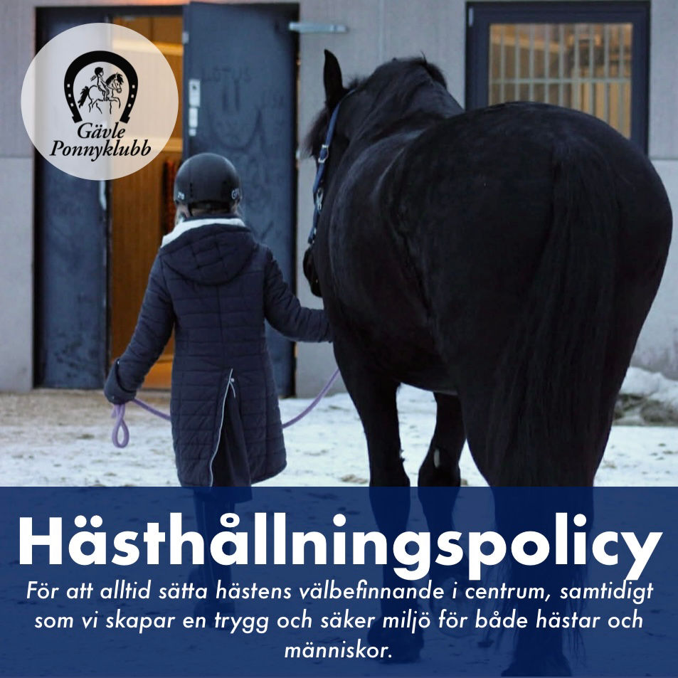 Hästhållningspolicy