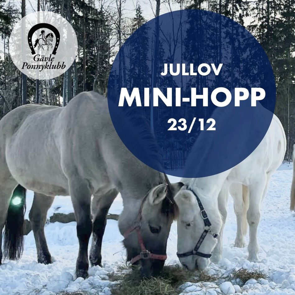 Jullov - Mini-Hopp