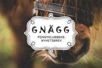 Gnägg nr 1 - VT2026