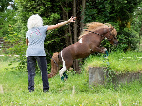 Angst im Gelände – Woher sie kommt und wie du sie nachhaltig überwindest