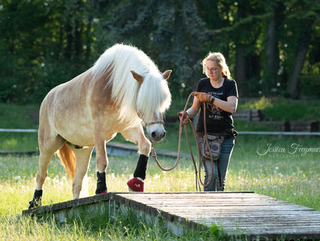Warum Hattingen der perfekte Ort für das neue SafetyHorseMethod Konzept ist