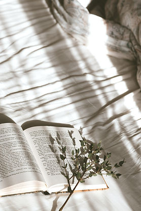 book on bed__edited.jpg