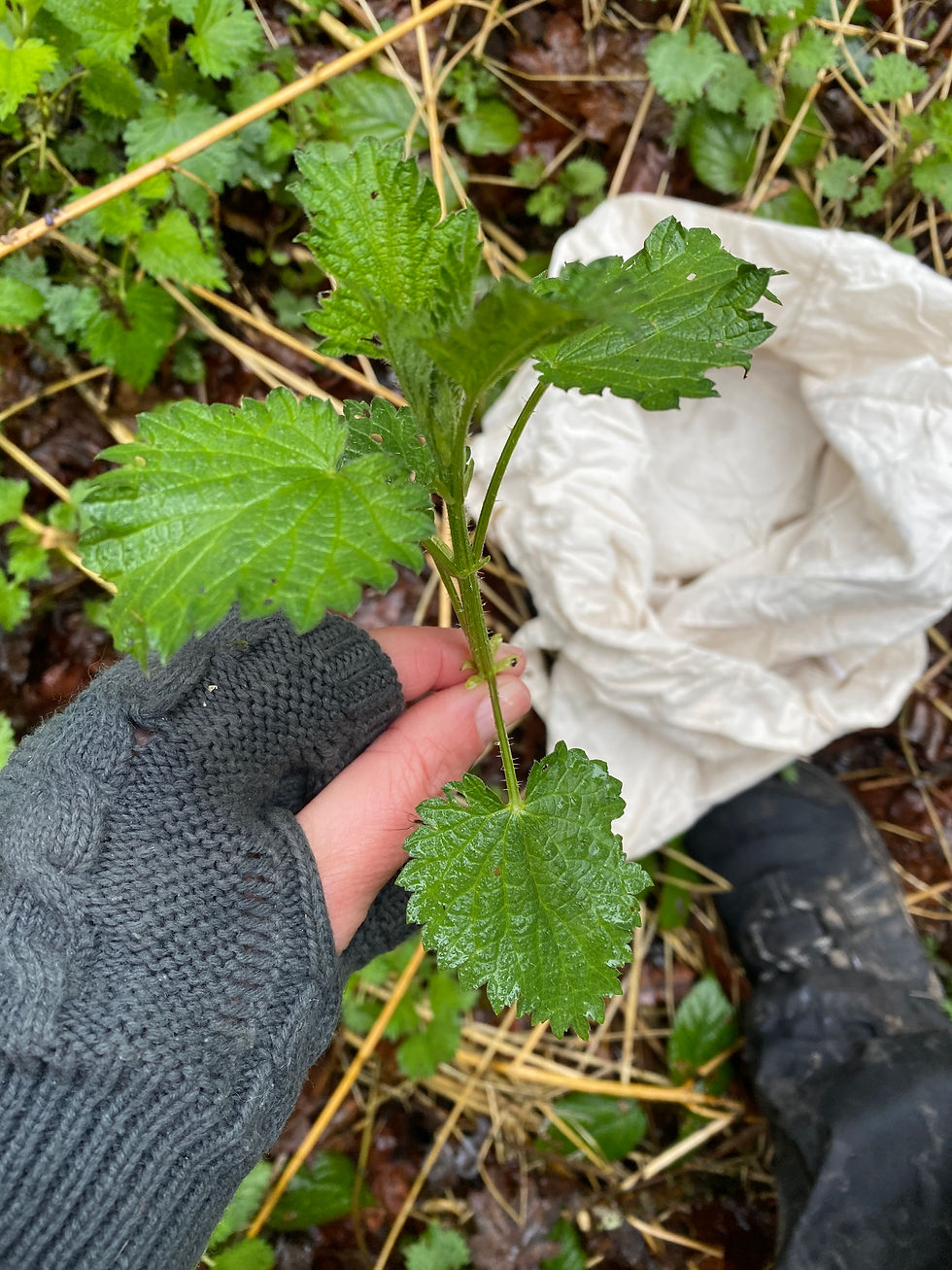 Es sind momentan keine Kurse geplant