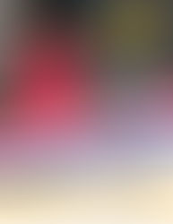 BJ Speaks: A Conversation with Author Rockell Bartoli