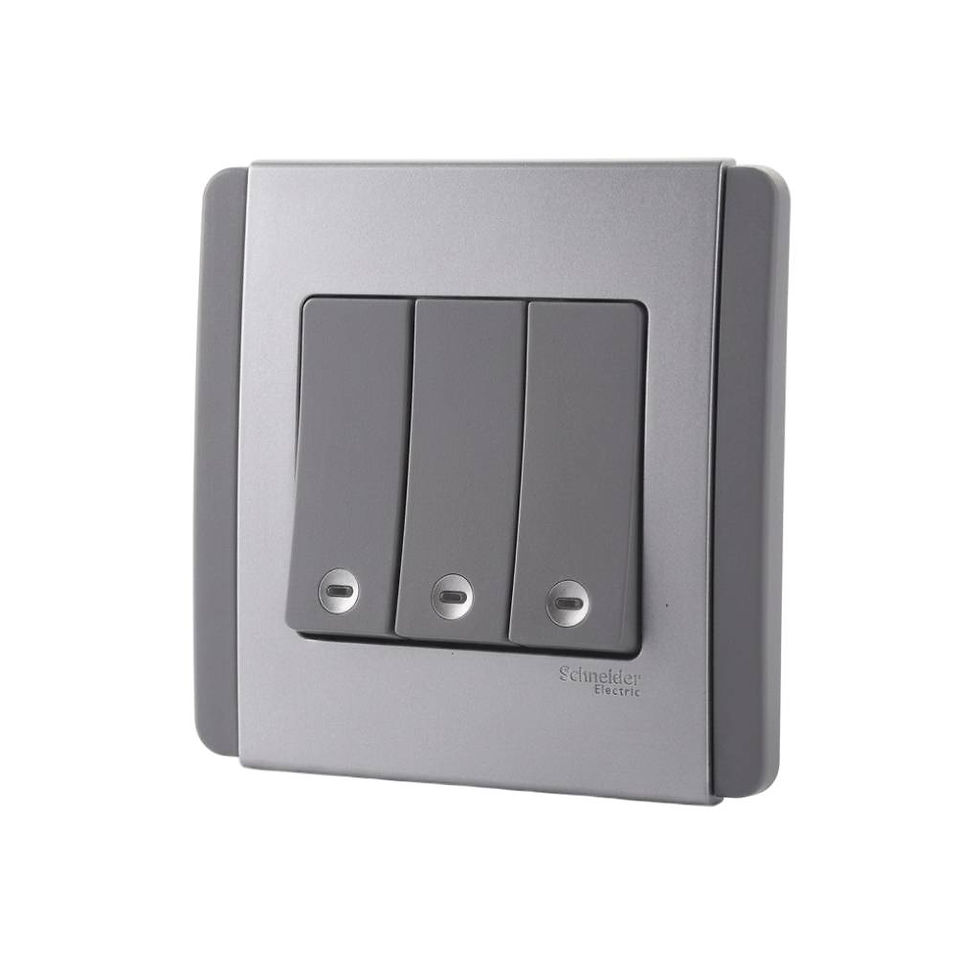 Schneider Electric Switches