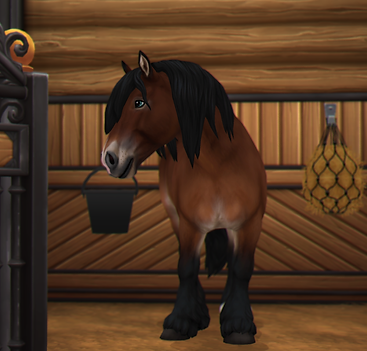 StarStable_2025-09-19_16-00-07.png