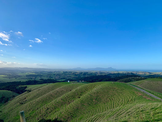 Northland begins: the view from the top of the Brynderwyn Hills.  (Photo/Shutterstock)