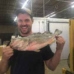 12940109_557216821106359_693924345_n