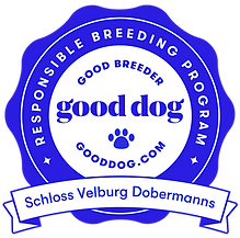 schloss-velburg-dobermanns-badge.png