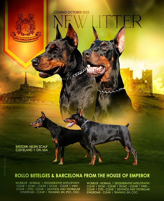 Poster 1.jpg