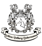 banner transperent_edited_edited.png