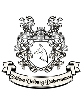 banner transperent_edited_edited.png