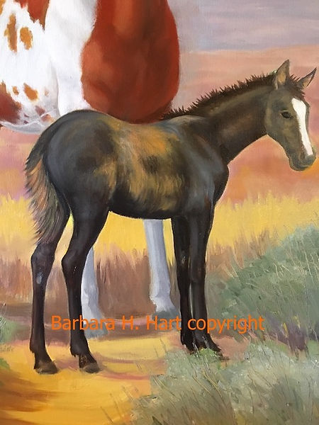 Hart Colt.jpeg