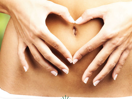 Balancing Gut Terrain with health foods. What is a Pre-Biotic?