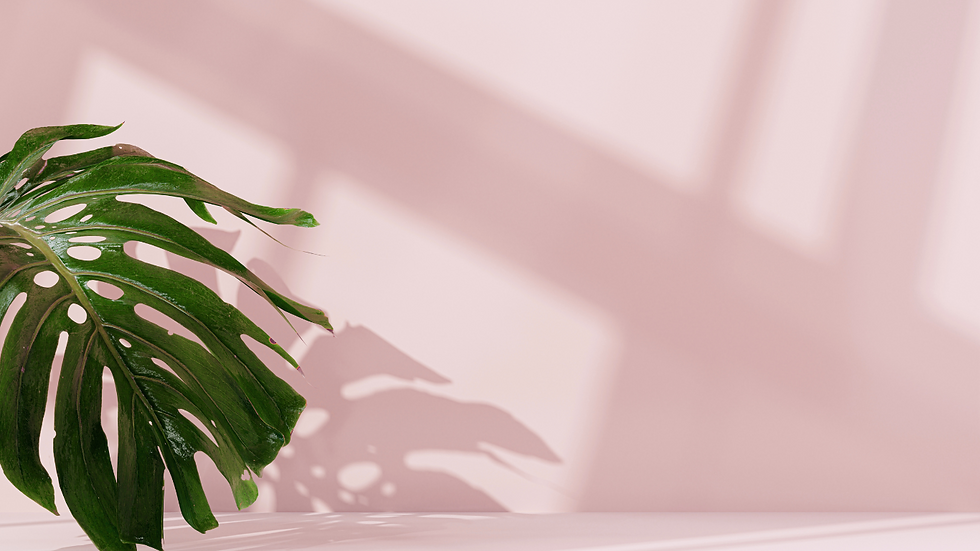 Backgrounds (2).png