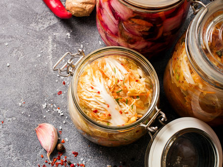 Balancing Gut Terrain with health foods (part 2). What is a Pro-Biotics?