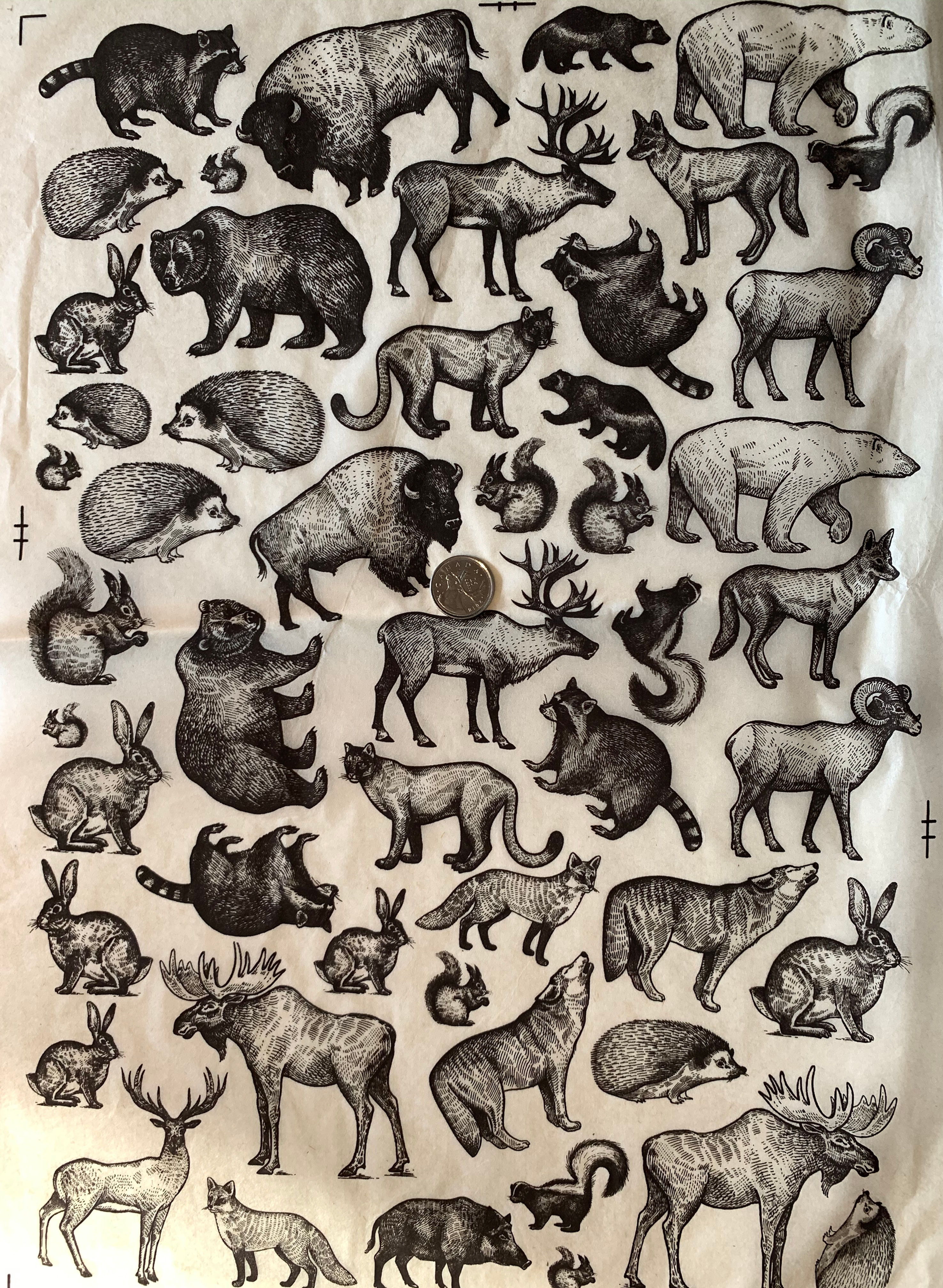 Woodland Critters - Choose Your Colour