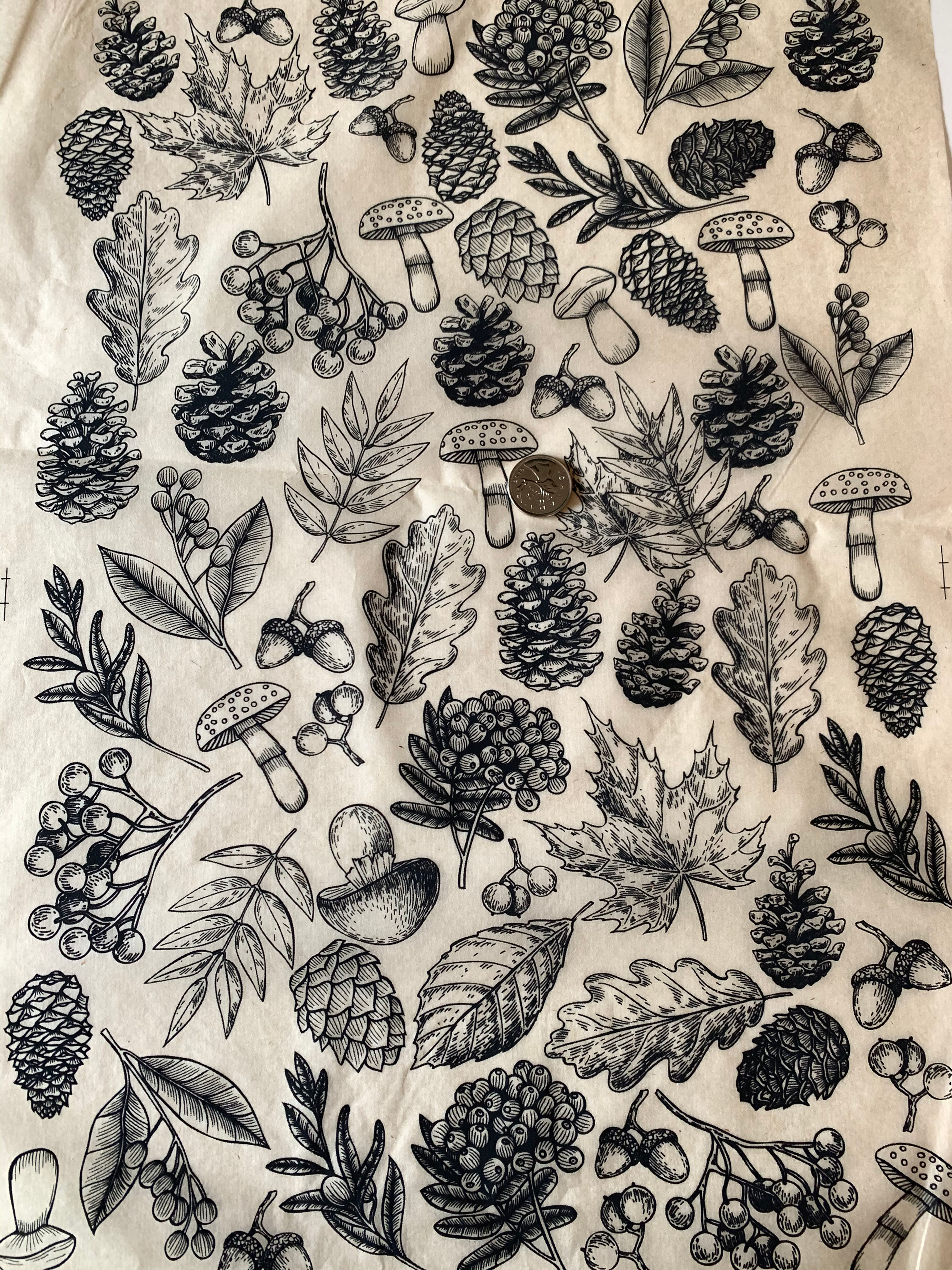 Woodlands - Choose Your Colour