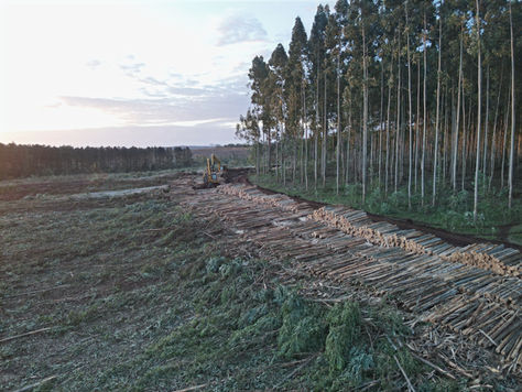 Argentina’s First Large-Scale Biochar Carbon Removal Hub: The GMF–Biocare Project Leading Climate Innovation in Latin America
