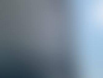 点検監査の重要性