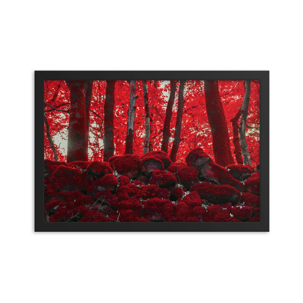 Framed poster: Labyrinth 001