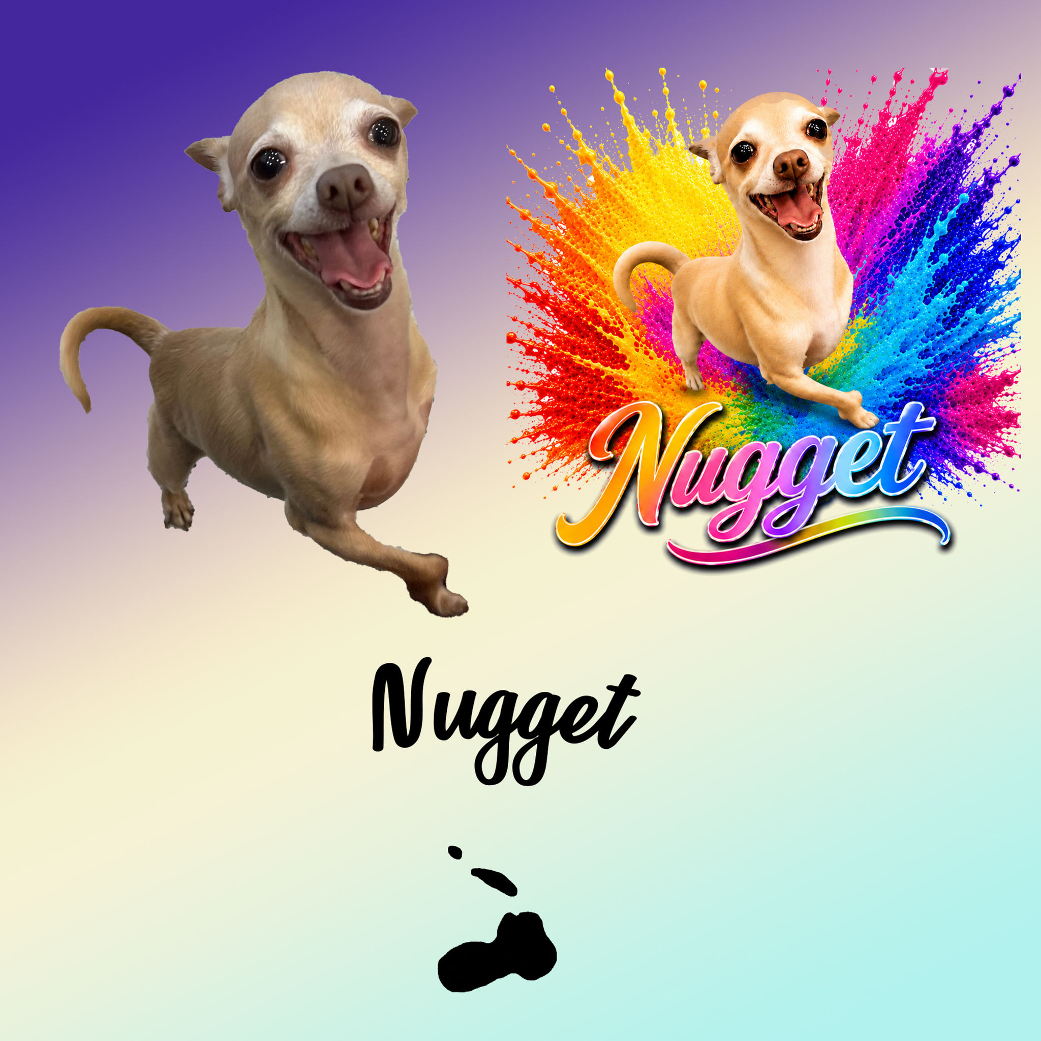 September 2026 -Nugget