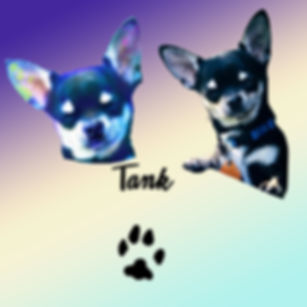 July 2026 - Tank