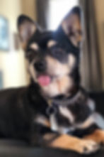 Thumbnail: April 2022 - Angel