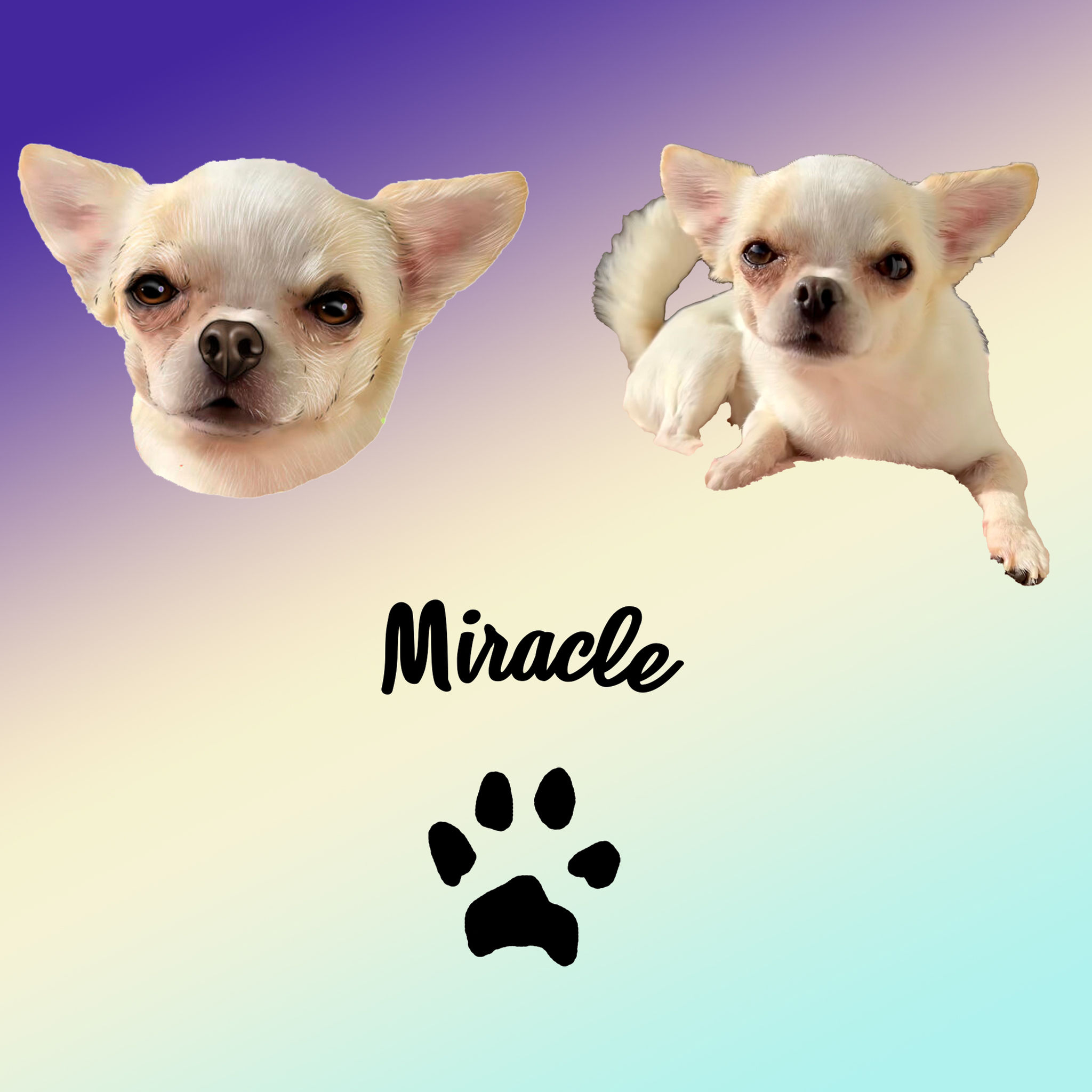 August 2026 - Miracle
