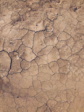 Die Rückkehr des Dorfkinds