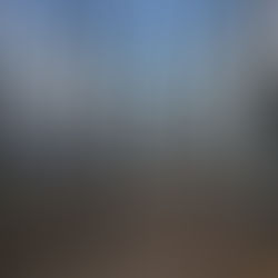 Obsessed with Asheville's Trails? Yeah, Me Too. (And That's Why I Started Lost Terrain Tours)