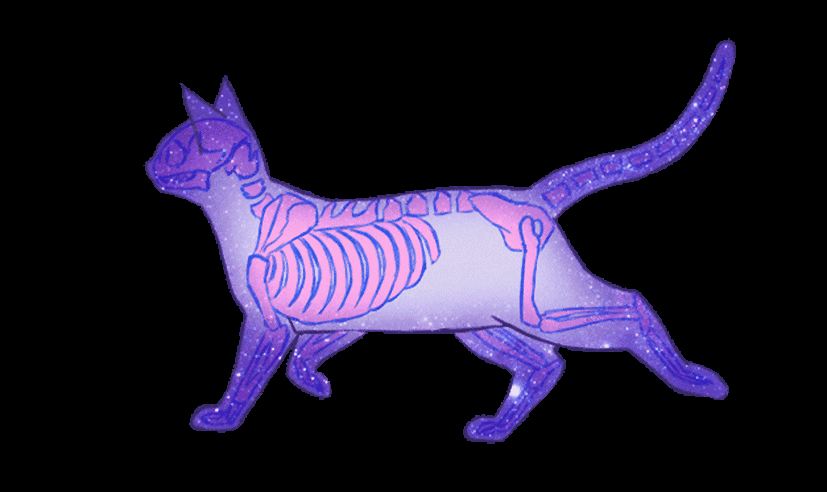 c7507064ec33d1c80c489e7400f60ef2.gif