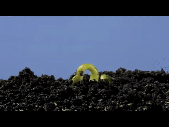 DURE-e.gif