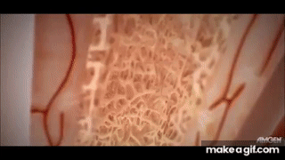 5Asgk0.gif