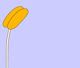 Copia-de-fecundacion-flor-1.gif