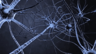 822dfb5266e9baf5dd0567f61ad9c0e3.gif