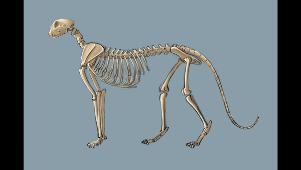 fa2b1e4b79143cf99798a76f12071560.gif
