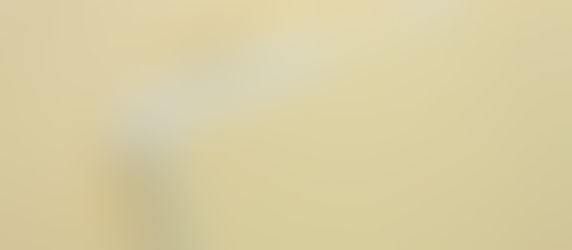 The Best Lead Follow Up System for Real Estate Agents: The Folder System