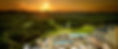 Omni Barton Creek.jpg