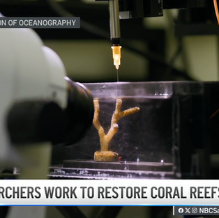UC San Diego scientists develop gel to attract baby coral, encourage reef growth