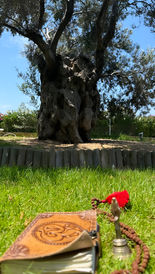 Journal by Olive Tree
