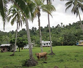 fijilandscape_edited.jpg