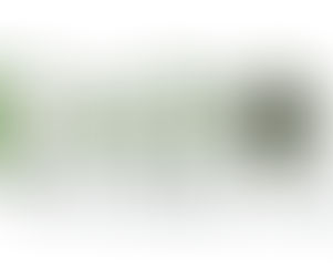 Bear Hugs from Washington County 