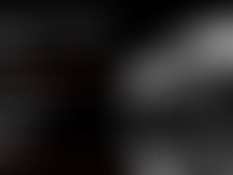 Meet Ted Kucowski Owner | Detection Canine Services & K9 ECHO, K9 ZOEY & K9 CHASE! 732-620-0205 NJ!