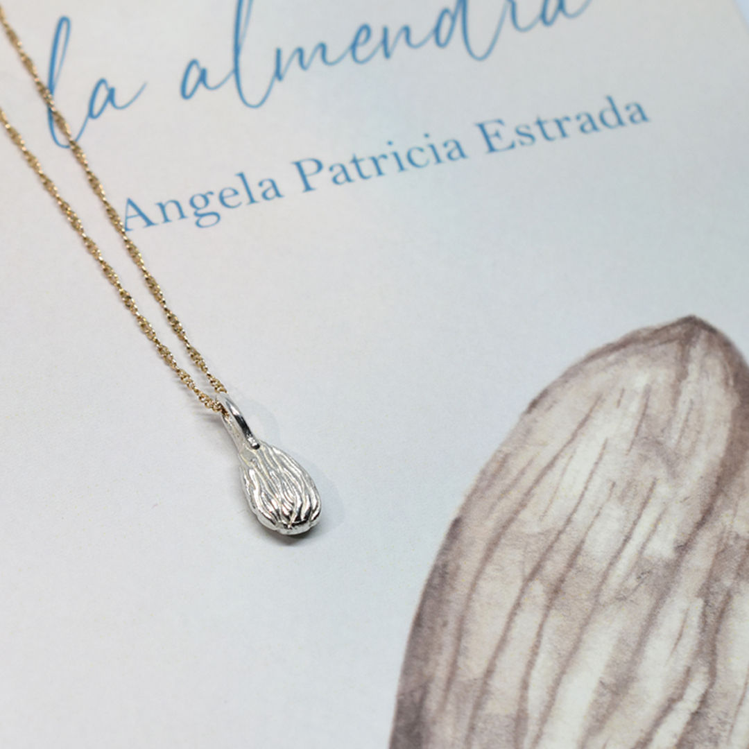 Libro  los colores de la almendra con el dije almendra