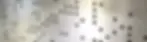 Perf copy.webp