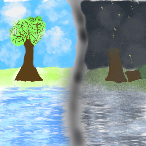 The Changes In Nature