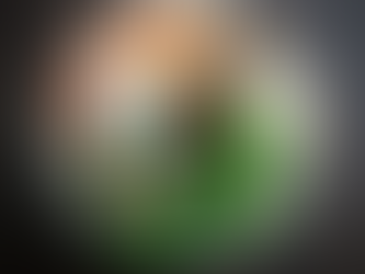 ฟิวชั่นสตรีทฟูด