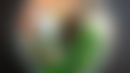 ฟิวชั่นสตรีทฟูด