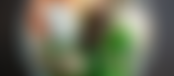 ฟิวชั่นสตรีทฟูด